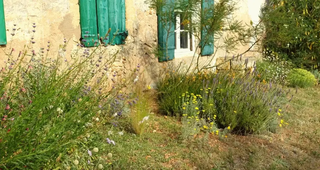Paysagiste à Montferrier-sur-Lez