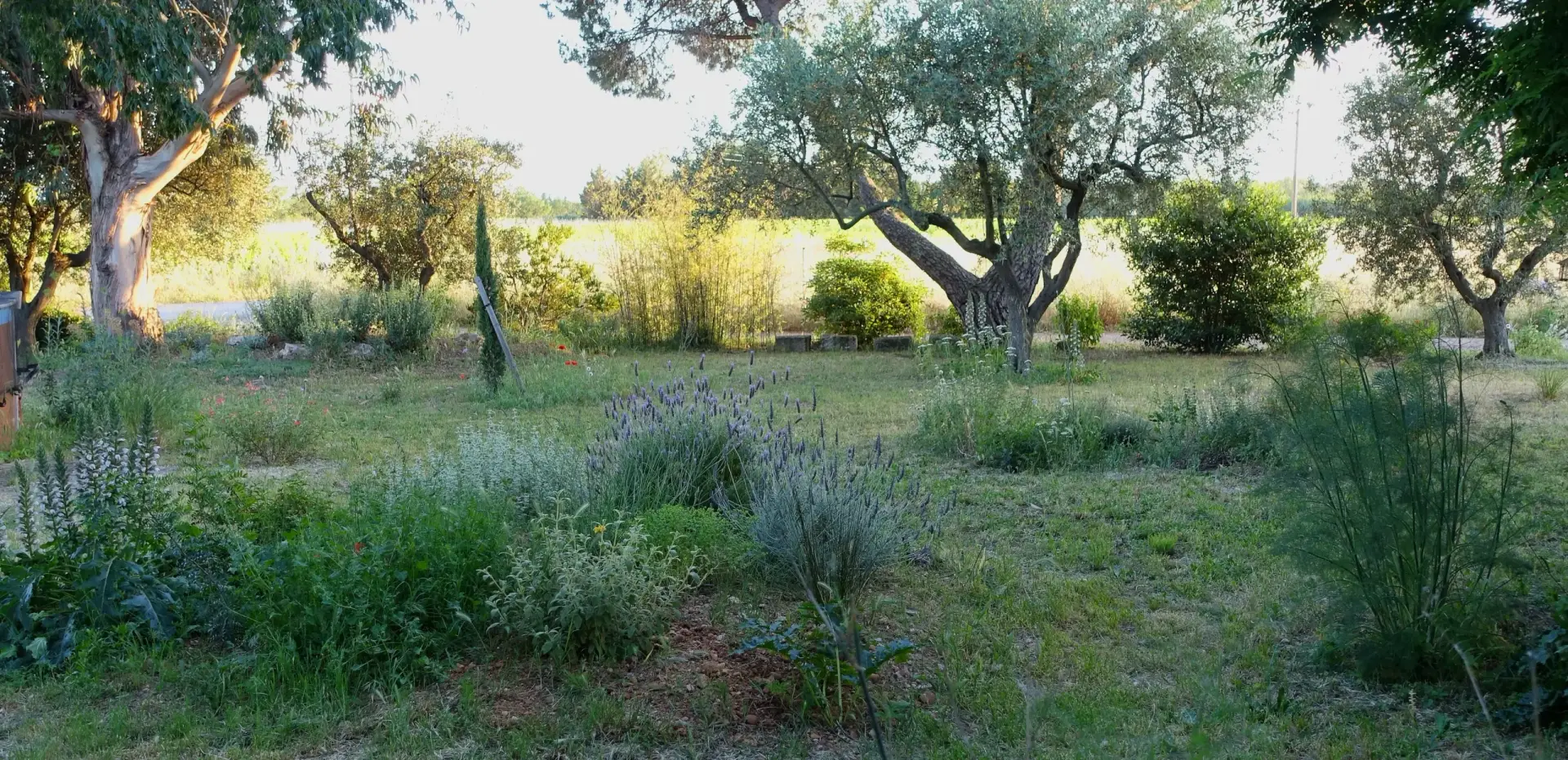 Paysagiste à Saint-Rémy-de-Provence