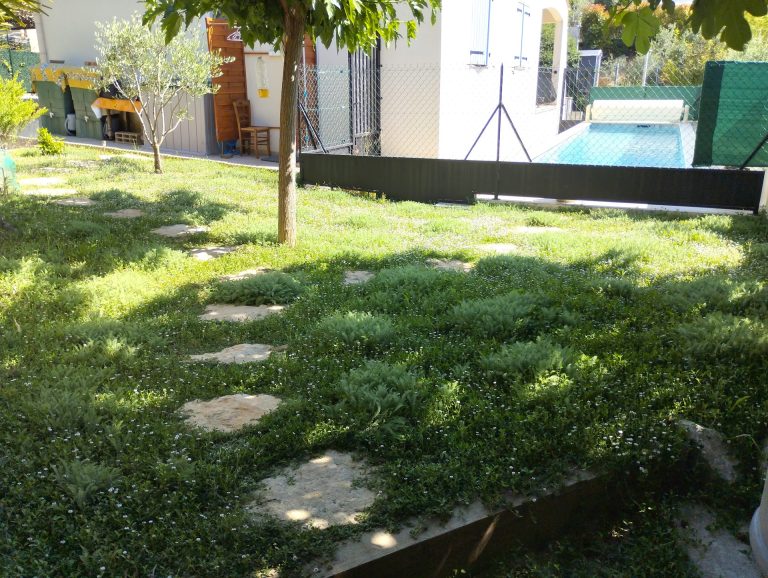 Alternative au gazon : pelouse remplacée par des plantes couvre-sol avec pas japonais, Vauvert
